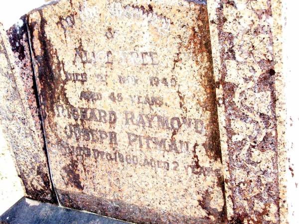 Alice FREE died ?? Nov 1949 aged 45 years;  | Richard Raymond Joseph PITMAN,  | died 10 Dec 1960 aged 2 years;  | Beerwah Cemetery, City of Caloundra  | 