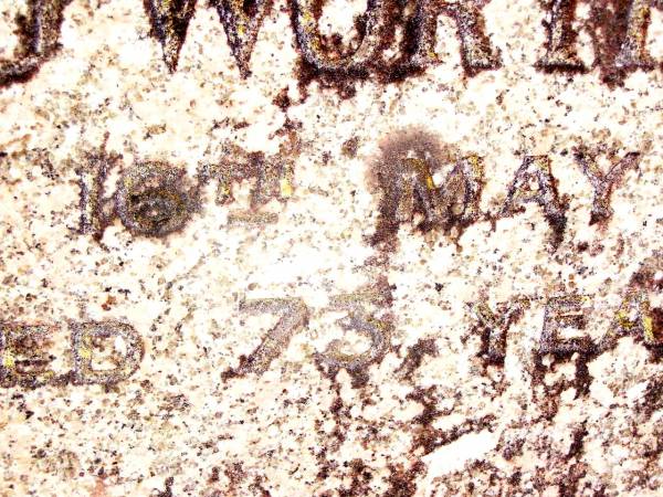 Edward Worthy FREE, father,  | died 16 May 1962 aged 73 years;  | Beerwah Cemetery, City of Caloundra  | 