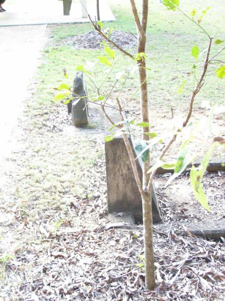 Beerwah Cemetery, City of Caloundra  | 