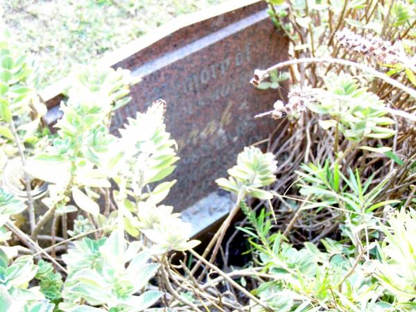 Norah, mother,  | aged 98 years;  | Beerwah Cemetery, City of Caloundra  | 