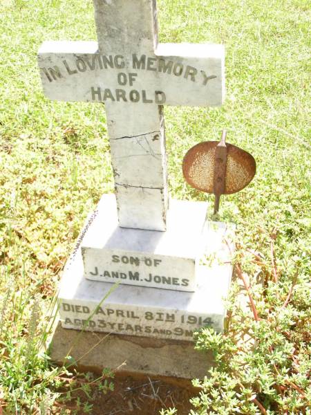 Harold, son of J. & M. JONES,  | died 8 April 1914 aged 3 years 9 months;  | Bell cemetery, Wambo Shire  | 