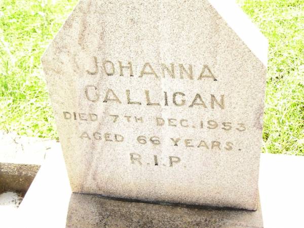 Johanna GALLIGAN,  | died 7 Dec 1953 aged 66 years;  | Bell cemetery, Wambo Shire  | 
