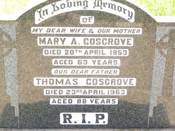 Mary A. COSGROVE,  | wife mother,  | died 20 April 1953 aged 63 years;  | Thomas COSGROVE,  | father,  | died 23 April 1963 aged 88 years;  | Bell cemetery, Wambo Shire  | 