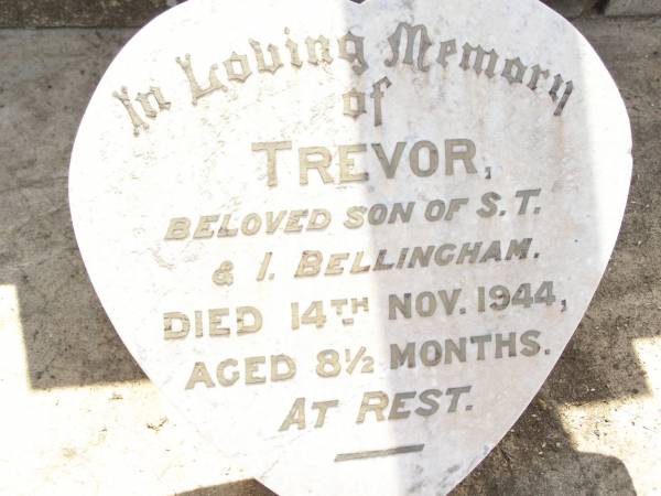 James MATTHEWS,  | husband father,  | died 3 Aug 1918 aged 45 years;  | Trevor, son of S.T. & I. BELLINGHAM,  | died 14 Nov 1944 aged 8 1/2 months;  | Amelia MATTHEWS,  | wife of James,  | 18-8-1881 - 25-10-1974;  | Bell cemetery, Wambo Shire  | 