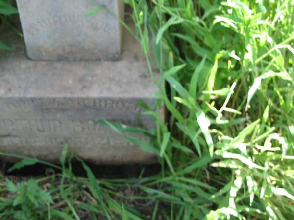 Arthur BRADLEY,  | brother,  | died 21 August 1905;  | Bell cemetery, Wambo Shire  | 