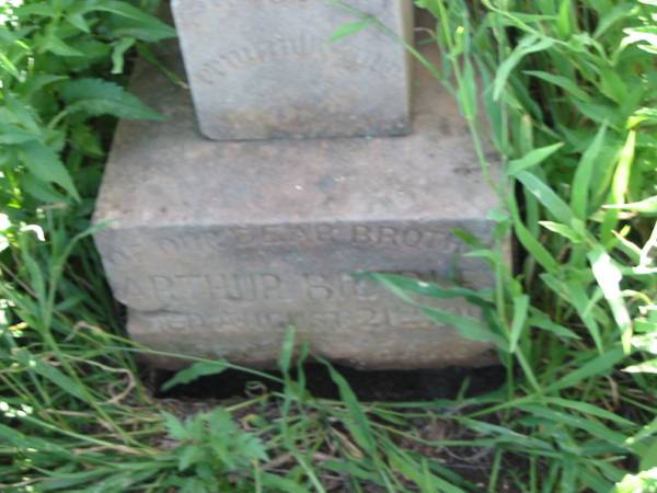 Arthur BRADLEY,  | brother,  | died 21 August 1905;  | Bell cemetery, Wambo Shire  | 