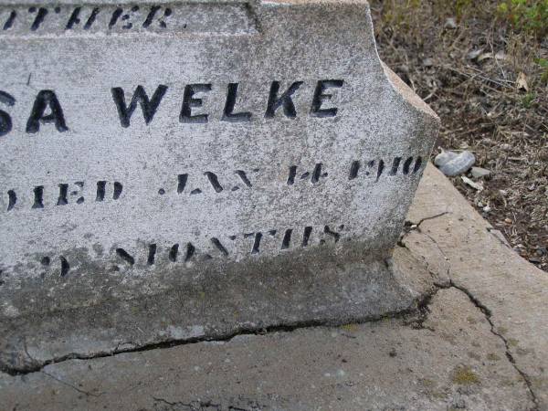 Bertha Louisa WELKE, wife mother,  | born 12 April 1880,  | died 14 Jan 1910 aged 29 years 9 months;  | Bergen Djuan cemetery, Crows Nest Shire  | 