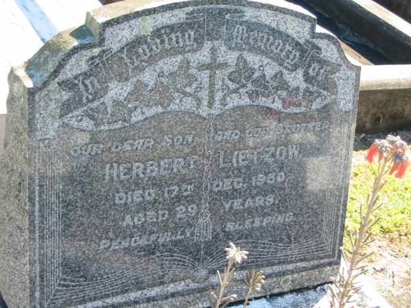 Herbert LIETZOW  | 17 Dec 1950  | aged 29  |   | Bethania (Lutheran) Bethania, Gold Coast  | 