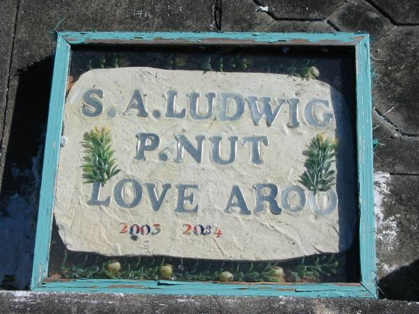 S A LUDWIG  | P. NUT  | love Aroo  | 2003 - 2004  |   | Bethania (Lutheran) Bethania, Gold Coast  | 