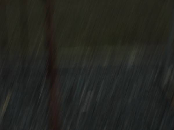 Bethel Lutheran Cemetery, Logan Reserve (Logan City)  |   | 