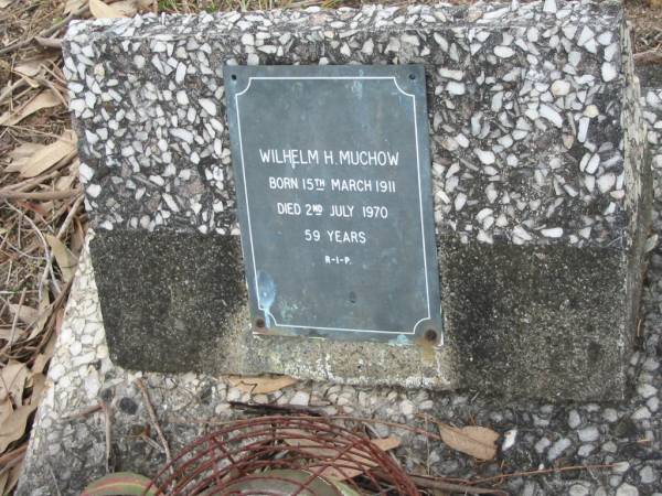 Wilhelm H MUCHOW  | B: 15 Mar 1911  | D:  2 Jul 1970  | aged 59  |   | Bethel Lutheran Cemetery, Logan Reserve (Logan City)  |   | 