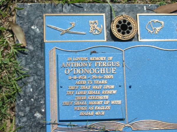 Anthony Fergus O'DONOGHUE,  | 11-11-1931 - 29-6-2005 aged 73 years;  | Blackbutt-Benarkin cemetery, South Burnett Region  | 