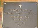 Antoni (Tony) MIECIUN,
died 1 April 1997 aged 69 years;
Bribie Island Memorial Gardens, Caboolture Shire
