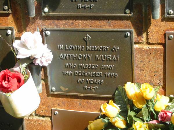 Anthony MURAI,  | died 16 Dec 1993 aged 90 years;  | Bribie Island Memorial Gardens, Caboolture Shire  | 