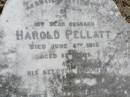 Harold PELLATT, husband, died 5 June 1918 aged 53 years; Alice, daughter, died 31 July 1898 aged 3 years; Alfred E. PELLATT, died 22 Oct 1939 aged 40 years; Alice PELLATT, died 14 Jan 1948 aged 82 years; Brookfield Cemetery, Brisbane  