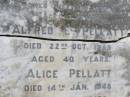 Harold PELLATT, husband, died 5 June 1918 aged 53 years; Alice, daughter, died 31 July 1898 aged 3 years; Alfred E. PELLATT, died 22 Oct 1939 aged 40 years; Alice PELLATT, died 14 Jan 1948 aged 82 years; Brookfield Cemetery, Brisbane  