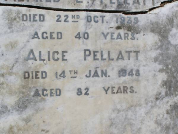 Harold PELLATT, husband,  | died 5 June 1918 aged 53 years;  | Alice, daughter,  | died 31 July 1898 aged 3 years;  | Alfred E. PELLATT,  | died 22 Oct 1939 aged 40 years;  | Alice PELLATT,  | died 14 Jan 1948 aged 82 years;  | Brookfield Cemetery, Brisbane  |   | 