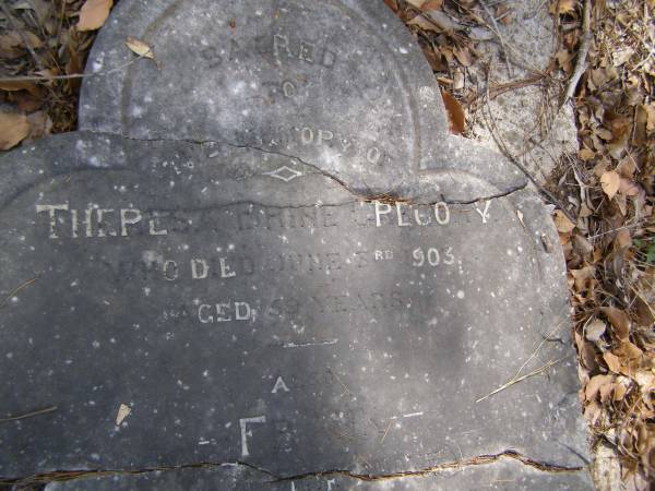 Theresa Brine GREGORY,  | died 3 June 1903 aged 59 years;  | Frank, son,  | died 18 Jan 1885 aged 15 months;  | Charles William GREGORY,  | died 6 Oct 1933 aged 90 years;  | Brookfield Cemetery, Brisbane  | 