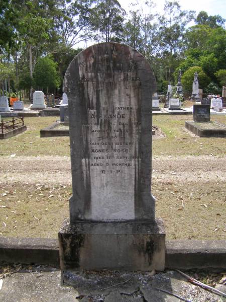 Rose Ann GREER, mother,  | died 5 April 1897 aged 56 years;  | Alexander, father,  | died 18 Dec 1898 aged 61 years;  | Agnes Rose, sister,  | died 11 Sept 1888 aged 5 months;  | Brookfield Cemetery, Brisbane  | 