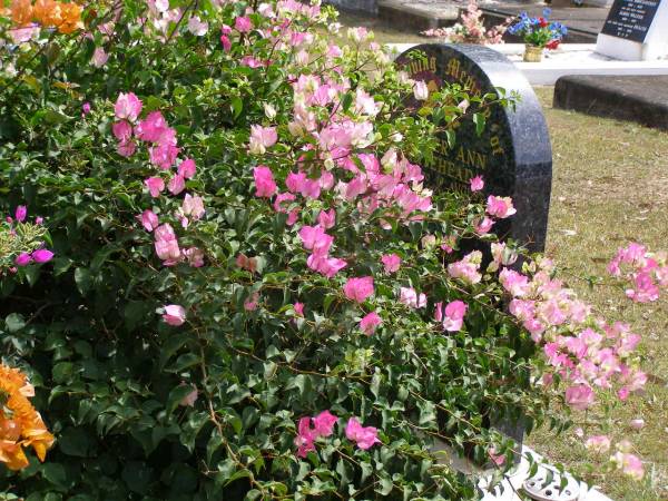 Jennifer Ann WHITEHEAD,  | 16 July 1939 - 19 August 1997 aged 58 years,  | wife mother grandmother;  | Brookfield Cemetery, Brisbane  | 