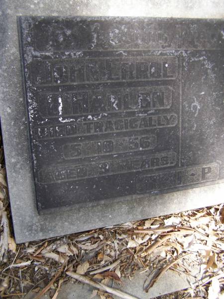 John Errol O'HANLON,  | died tragically 5-10-56 aged 9 years;  | Brookfield Cemetery, Brisbane  | 
