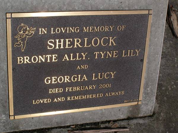 Bronte Ally SHERLOCK;  | Tyne Lily SHERLOCK;  | Georgia Lucy SHERLOCK;  | died Feb 2001;  | Brookfield Cemetery, Brisbane  | 