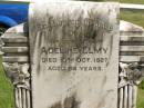 
Adeline ELMY,
mother,
died 10 Oct 1927 aged 64 years;
Brooweena St Marys Anglican cemetery, Woocoo Shire

