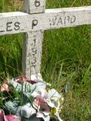 
Charles P. WARD,
1906 - 1937;
Brooweena St Marys Anglican cemetery, Woocoo Shire
