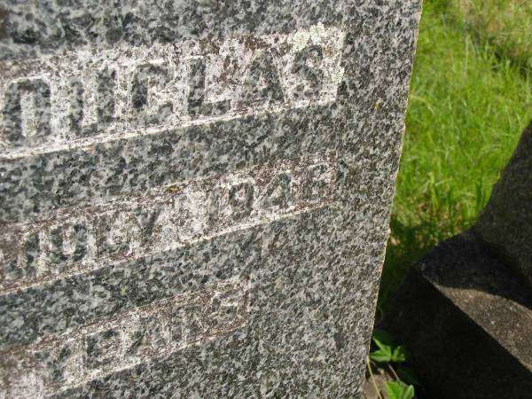 James DOUGLAS,  | father,  | died 17 July 1946 aged 82? years;  | Margaret C. DOUGLAS,  | mother,  | died 25 Nov 1948 aged 75 years;  | Brooweena St Mary's Anglican cemetery, Woocoo Shire  | 