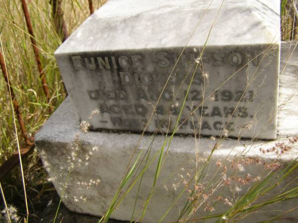 Eunice Simpson DICKENS  | d: 12 Aug 1921, aged 44  | Fairview Cemetery, Bryden, Somerset Region, Queensland  |   | 