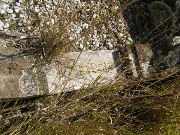 (mother)  | Charlotte HALL  | d: 8 Jul 1935, aged 84  | (father)  | Henry HALL  | d: 11 Dec 1895, aged 42  |   | Ann HINE (nee BOTLEY)  | b: 22 Nov 1811 Grendon B'Shire, Eng  | d: 16 Aug 1899 Kipper Ck, Dundas, Q  | Married Job HINE c1838 Eng  |   | Henry HINE b: 1849, d: 1876  | Charlotte HINE b: 1850, d 1872  |                                          (RJB)  | Fairview Cemetery, Bryden, Somerset Region, Queensland  |   | 