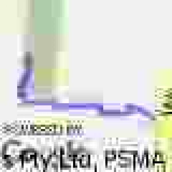 Location relative to road.  | Fairview Cemetery, Bryden, Somerset Region, Queensland  |   |   |