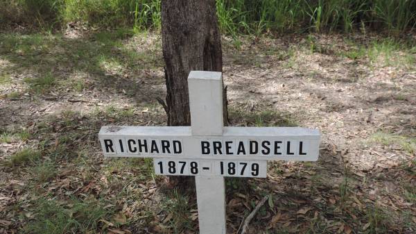 Richard BREADSELL  | b: 1878  | d: 1879  | Bunya cemetery, Pine Rivers  | 