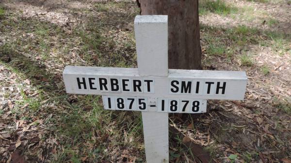 Herbert SMITH  | b: 1875  | d: 1878  | Bunya cemetery, Pine Rivers  | 