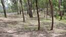 
Bunya cemetery, Pine Rivers
