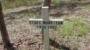 Ethel MORRISON b: 1900 d: 1902 Bunya cemetery, Pine Rivers 