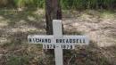 Richard BREADSELL b: 1878 d: 1879 Bunya cemetery, Pine Rivers 