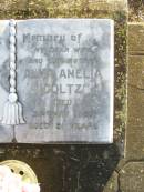 
John Albert GOLTZ, father,
died 13 Oct 1974 aged 70 years;
Alma Amelia GOLTZ, wife mother,
died 31 May 1969 aged 51 years;
Caffey Cemetery, Gatton Shire
