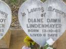 
Desmond Roy LINDENMAYER,
born 13-10-63 aged 6 hours;
Diane Dawn LINDENMAYER,
born 13-10-63 aged 6 days;
Caffey Cemetery, Gatton Shire
