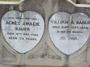 
Agnes Amalie BAUER, mother,
died 4 Nov 1956 aged 74 years;
William A. BAUER,
died 23 Sept 1933 aged 54 years;
Caffey Cemetery, Gatton Shire
