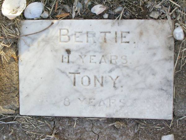 Bertie, 11 years;  | Tony, 8 years;  | sons of Mr & Mrs C.A. OST,  | accidentally killed 1 Dec 1942;  | Caffey Cemetery, Gatton Shire  | 