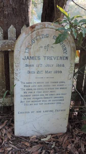James TREVENEN  | b: 11 Jul 1868  | d: 21 May 1899  |   | Susan TREVENEN  | d: 22 Oct 1898 aged 21  | wife of James TREVENEN  |   | Thomas Park (Old Carrington Cemetery)  |   |   | 