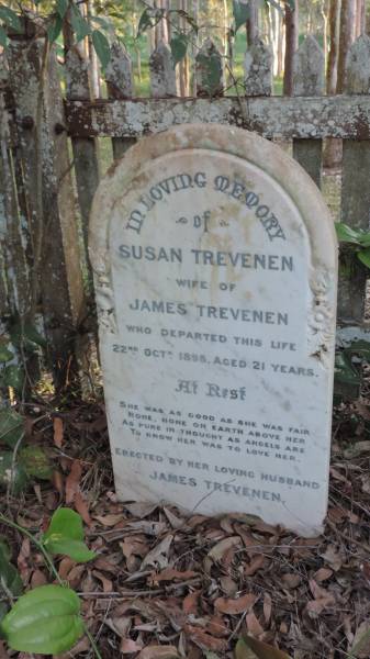 James TREVENEN  | b: 11 Jul 1868  | d: 21 May 1899  |   | Susan TREVENEN  | d: 22 Oct 1898 aged 21  | wife of James TREVENEN  |   | Thomas Park (Old Carrington Cemetery)  |   |   | 