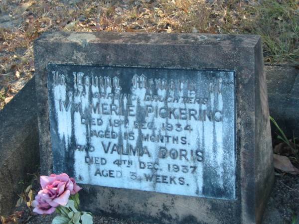 (our darling daughters)  | Ivy Merle PICKERING,  | 18 Dec 1934 aged 15 months  | Valma Doris PICKERING,  | 4 Dec 1937, aged 3 weeks  |   | Cedar Creek Cemetery, Ferny Grove, Brisbane  |   | 