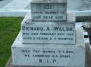 Richard A. WALSH, son, died 23 Feb 1913 aged 3 years 11 months; Sacred Heart Catholic Church, Christmas Creek, Beaudesert Shire 