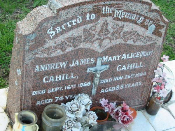 Andrew James CAHILL,  | died 16 Sept 1966 aged 74 years;  | Mary Alice (May) CAHILL,  | died 26 Nov 1984 aged 88 years;  | Sacred Heart Catholic Church, Christmas Creek, Beaudesert Shire  | 