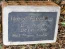 
Herbert Alfred DAU,
born 17-10-1917 died 19-7-1996
aged 78 years 9 months;
Coleyville Cemetery, Boonah Shire
