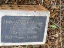 
Herbert Alfred DAU,
born 17-10-1917 died 19-7-1996
aged 78 years 9 months;
Coleyville Cemetery, Boonah Shire
