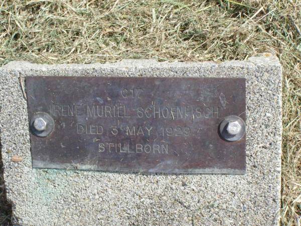 Irene Muriel SCHOENFISCH,  | died 3 May 1929 stillborn;  | Coleyville Cemetery, Boonah Shire  | 