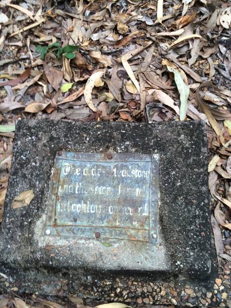 Rev Francis TRIPP B.A.  | (Oxford)  | d: 20 May 1874 aged 44 at Cooktown  |   | Francis TRIPP arrived in Cooktown on 10 May 1874. Ten days later he died. He came to administer the Cooktown parish for the Church of England. He originally left England in 1863 to serve in Amuri, New Zealand and later in Copperhead near Clermont, Queensland.  | In New Zealand he was considered eccentric. Suggestions of an appointment to a neighbouring parish net frosty reception. In contrast ther Cooktown Courier of 1874 reported TRIPP was 'followed to the grave by nearly all the most influential residents of the town'. TRIPP's headstone is the earliest surviving in the cemetery.  |   | Cooktown Cemetery  |   | 